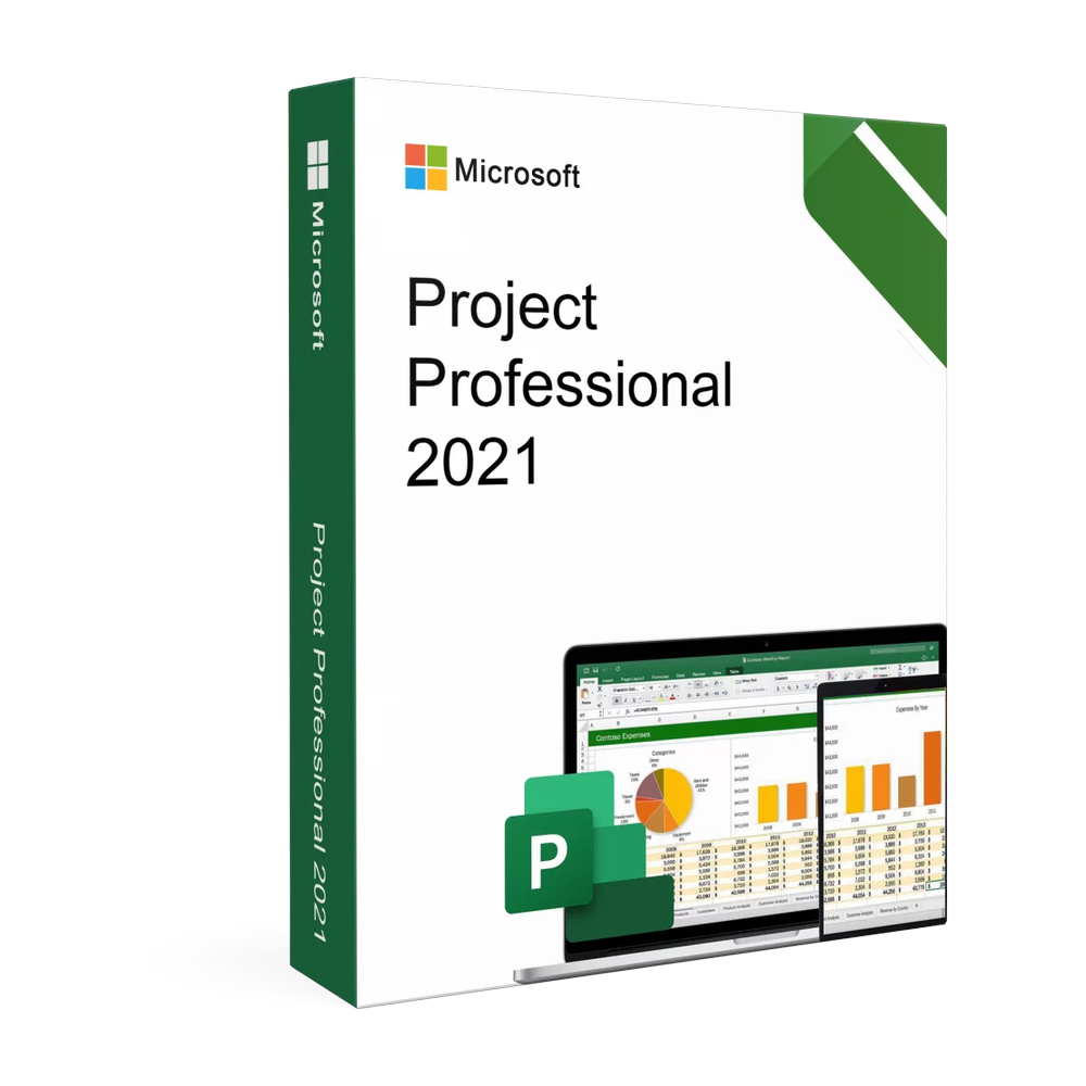 Project Professional 2021